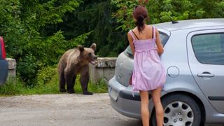 O fetita de 13 ani a ajuns la spital dupa ce a fost ranita de un urs