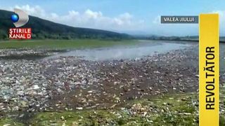 Imagini apocaliptice surprinse pe albia raului Jiu. O insula de gunoaie acopera tot. Apa abia se zareste prin milioanele de pet-uri, gunoaie si animale moarte