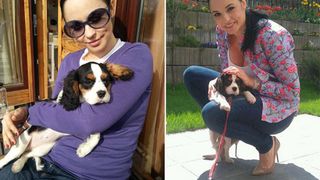 Mii de persoane au semnat o petitie prin care cer concedierea Andreei Marin, dupa scandalul cu cainii care au atacat-o! "Nu dorim ca TVR sa remunereze din bani publici, din banii nostri, o bruta!&rdquo;