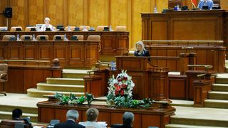 Blonda face senzatie in Parlament