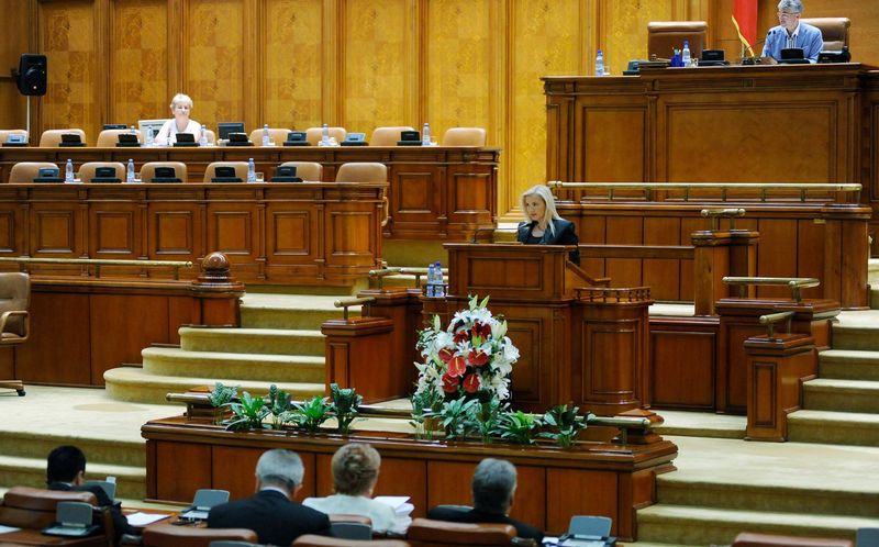 Blonda face senzatie in Parlament