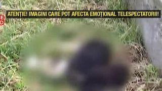 Adapostul public fantoma, unde animalele mor fara ca nimeni sa se ingrijeasca. Un reportaj marca "Salvam Suflete"