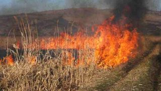 50 de hectare de teren agricol din Giurgiu au fost cuprinse de flacari. Pompierii de la Garda Mihailesti si de la Garda Calugareni incearca sa stinga focul