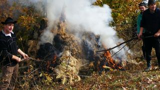 Mii de tone de lana sunt arse anual in Romania. Industria textila romaneasca se degradeaza de la an la an