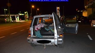 Doi tineri din Brasov au fost prinsi cu un urs mort in portbagaj. Unul dintre ei a spus ca nici nu stie cum a ajuns animalul acolo