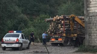 Asa dispare padurea! Cum arata un transport ilegal de lemne. Imagini incredibile
