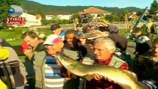 Peste 200 de pescari s-au trezit cu noaptea-n cap si au navalit pe lacul Noua din Brasov pentru a prinde cea mai frumoasa stiuca. Premiul cel mare s-a dus la cel care a prins un peste de 8 kg