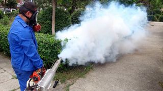 Astazi incepe aplicarea tratamentelor de combatere a tantarilor in parcurile din Bucuresti