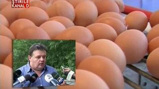 Controale insaprite la carnea de pasare si ouale care vin din Polonia. ANSVSA: Poate fi un atentat la sanatatea publica
