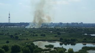 Doua incendii au mistuit Parcul Vacaresti saptamana aceasta. Decizia urgenta pe care a luat-o primarul Gabriela Firea