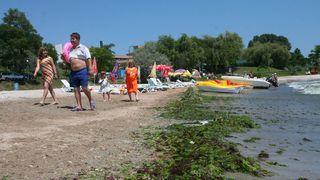 6.000 de tone de alge au fost stranse de pe plajele turistice de pe litoral
