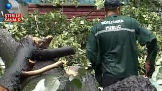 Furtuna a facut dezastru in judetul Gorj. O femeie insarcinata a ajuns la spital dupa ce un copac a cazut peste masina in care se afla