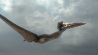 Cel mai mare dinozaur zburător din lume, descoperit in Romania, va fi dezvăluit la Muzeul Antipa