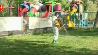 Ca la noi, la nimeni. Primariile din Bucuresti spun ca fac dezinsectie "in forta", cetatenii spun ca n-au vazut pe nimeni pe strazi