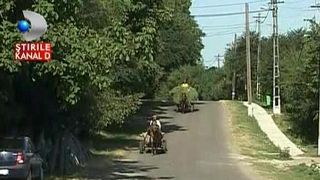 20 de ani au trecut de cand extraterestrii ar fi aterizat intr-un pom dintr-un sat din Moldova. Au fost vazut chiar de politistul localitatii. Ce spun oamenii despre aceasta intamplare