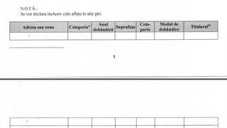 In declaratiea de avere, la rubrica proprietati, primarita a tras doar liniute
