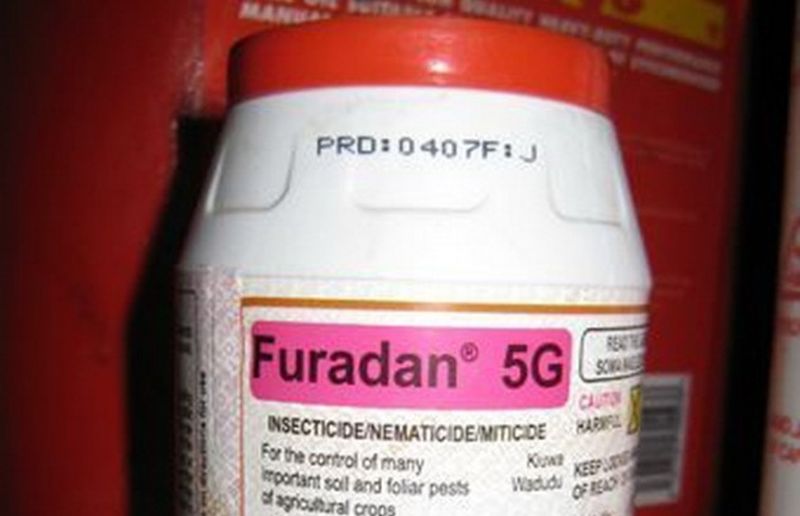 Cantitatea de substanta putea omori 4 elefanti