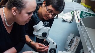 Romanca premiata de presedintele Barack Obama a creat cel mai dur aliaj metalic. Este de patru ori mai rezistent decat titanul