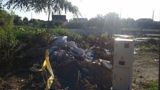 Asa arata lacul inainte Foto: Opinia Timisoarei