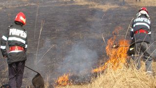 Val de incendii urias in Romania. Doar intr-o zi au fost mistuite de flacari 125 de hectare de teren