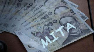 Profesorul Ovidiu Savu, de la Facultatea de Medicină Veterinară, a fost arestat preventiv pentru 30 de zile