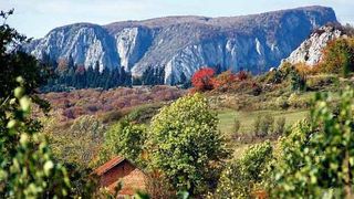 Prima imagine cu "Zmeurel", copilul nascut in varf de munte a carui "moasa" a fost chiar tatal sau