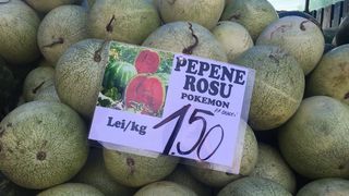 Taranii romani sunt inventivi. Au scos pe piata pepenele rosu "Pokemon": este foarte dulce. Cat costa un kilogram