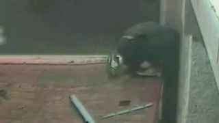 Mai multi romani au fost arestati in Italia pentru furturi de bancomate. Unul dintre el ar fi fost ucis chiar de aparatul pe care il furase