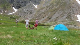 Braconierii de capre negre din Muntii Rodnei au fost prinsi