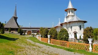 Bebelus de 4 zile, abandonat langa pubela de gunoi de la Manastirea Bic, din Salaj. Gestul emotionant facut de primarul localitatii cand a aflat