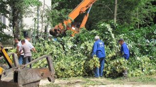 Nu degeaba a fost poreclit Robert Negoita "betonita". Primaria sectorului 3 taie din spatiile verzi ale blocurilor pentru trotuare si piste de biciclete