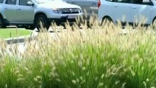 Primariile platesc o mica avere pentru spatiile verzi si trotuarele din Capitala. Nu o sa va vina sa credeti cat s-a platit pentru amenajarea unui sens giratoriu din centrul orasului