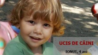 Familia lui Ionut Anghel, copilul ucis de c&acirc;ini, a primit despagubiri de doua milioane euro