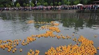 Peste 2000 de ratuste din plastic s-au luat la intrecere pe raul Somes. Copiii au fost mai mult decat incantati. Pe langa distractie, cursa ratustelor a avut un scop inedit