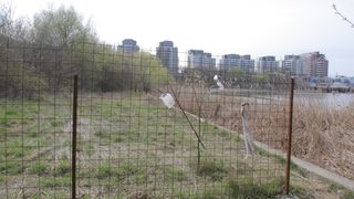 Terenul pe care a avut loc tragedia