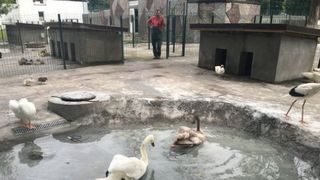 Sursa foto: adevarul.ro