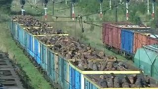 Politistii din Brasov au confiscat 38 de vagoane incarcate cu lemn