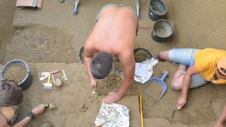 Un colier de melci vechi de 31000 de ani a fost descoperit langa Piatra Neamt