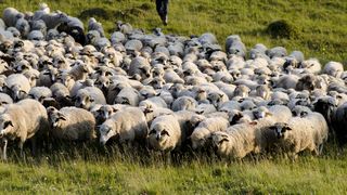 Un istoric bulgar sustine ca Romania este o &bdquo;creatie artificiala&rdquo; si ca balada Miorita este bulgareasca: &ldquo;Romanii trambiteaza patetic despre intaietatea lor pe aceste meleaguri!&rdquo;