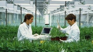 Statul ofera salarii mari pentru tinerii care vor sa se angajeze in domeniul cercetarii si inovarii in domeniul agricol