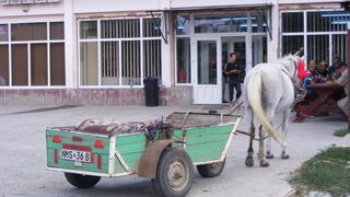 Localitatea din Romania care nu a avut niciodata medic. 1.400 de oameni merg kilometri intregi dupa o simpla reteta