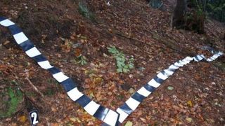 Barbat, disparut in Vrancea. S-a enervat in timpul unei discutii cu prietenii si a plecat sa se plimbe singur. Acum nimeni nu ii mai da de urma.