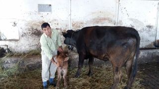 Puscaria Altfel. Locul din Romania in care detinutii se simt ca afara. La ferma sau in gradina, condamnatii duc o altfel de viata