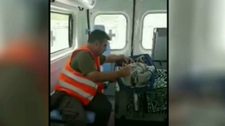 Minune la Amatrice. O pisicuta a fost salvata de sub daramaturi dupa 16 zile de la cumplitul seism