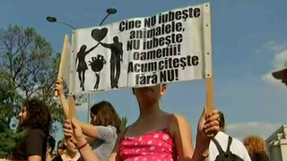 Sute de oameni au iesit astazi in strada sa protesteze in Piata Victoriei pentru marirea pedepselor fata de cei care maltrateaza si omoara animale.