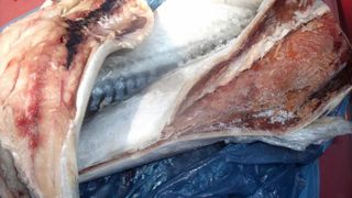 A cumparat peste cu viermi de la magazin. "Am văzut acei paraziţi, viermi spiralaţi, morţi"