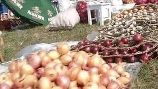 Targul cepei din Maramures. Cum arata cea mai mare ceapa de la noi din tara