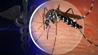 Alerta medicala in Romania! Au fost depistate peste 58 de cazuri de infectie cu virusul West Nile
