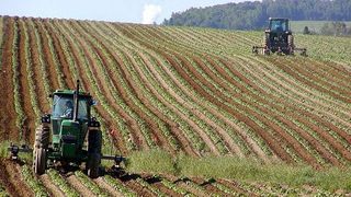 Un roman din Germania a murit in conditii inumane! El a fost fortat sa munceasca pe camp, fara pauze sau apa, pe canicula!