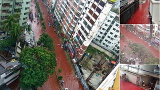 Orasul in care peste noapte au inceput sa curga rauri de sange. Imagini apocaliptice. Ce s-a intamplat?